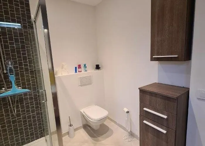 Joli T4 Climatise 3* Avec Jardin A Bormes-les-mimosas - Fr-1-610-117